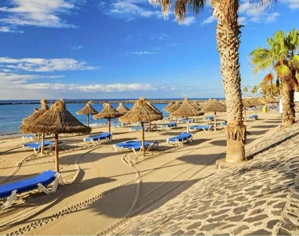 Bluebird Luxury Apartment In Las Americas Playa de las Americas