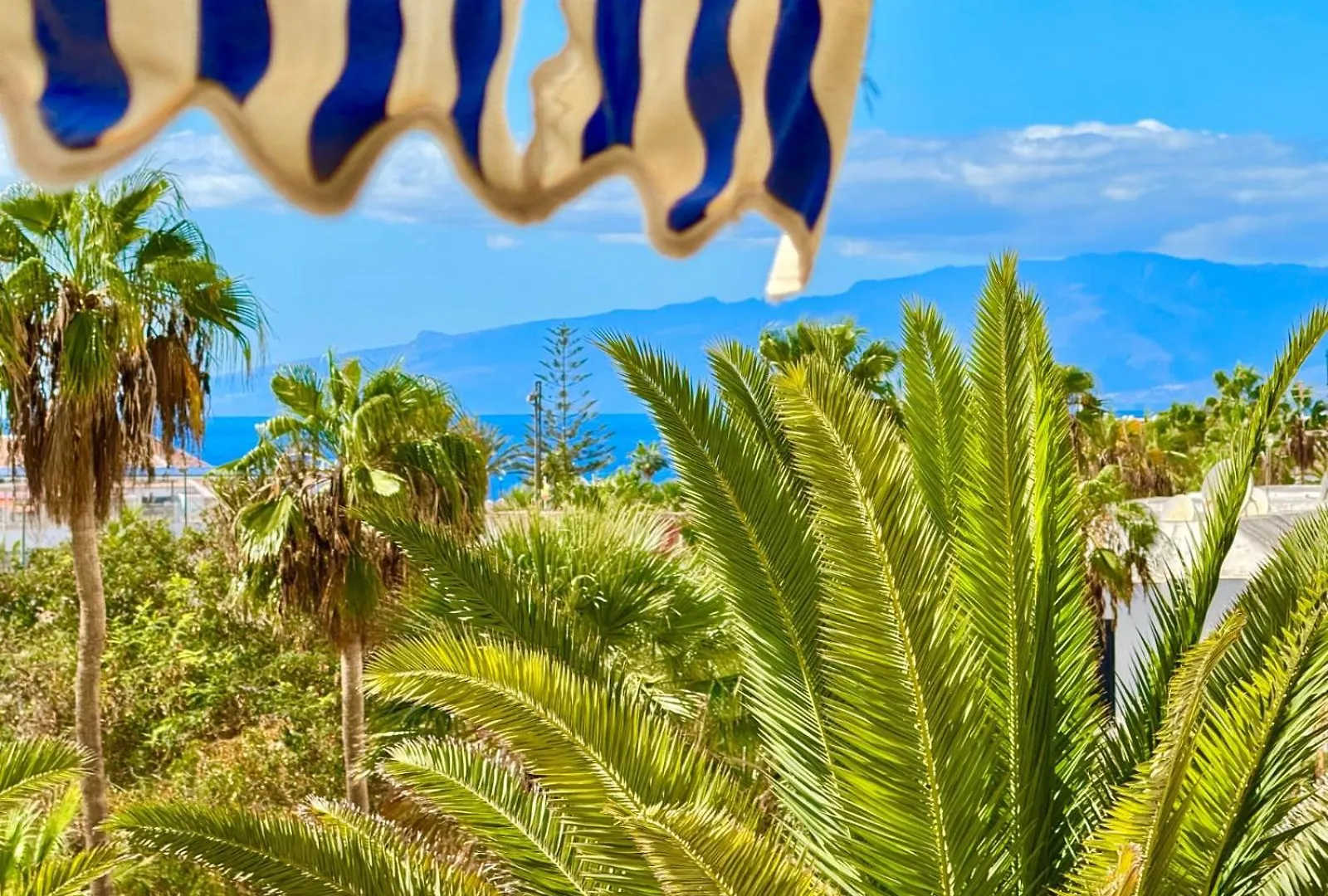 Bluebird Luxury Apartment In Las Americas Playa de las Americas